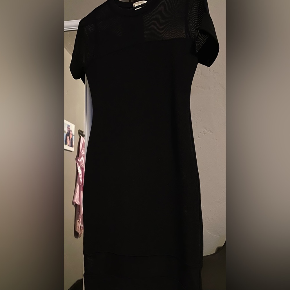 Fashion Nova Black Mesh bodycon dress